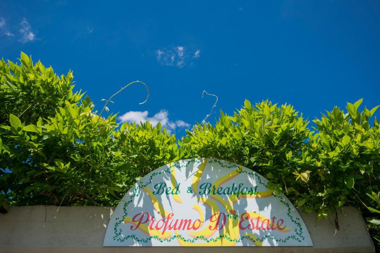 Bed & Breakfast Profumo D'Estate Agliana Екстер'єр фото